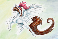 Size: 1600x1066 | Tagged: safe, artist:sunny way, oc, oc:sunny way, horse, pegasus, pony, g4, art, artwork, cartoon, concave belly, digital art, feather, female, fit, fluffy, flying, fur, ipad, lacrimal caruncle, long tail, mare, muscles, realistic paint studio, slender, solo, spread wings, sternocleidomastoid, tail, thin, traditional art, watercolor painting, wings