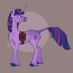 Size: 965x965 | Tagged: safe, artist:solkatt-arts, twilight sparkle, classical unicorn, pony, unicorn, g4, bag, brown background, cloven hooves, female, horn, leonine tail, mare, saddle bag, simple background, solo, unicorn twilight, unshorn fetlocks