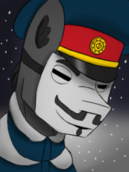 Size: 768x1024 | Tagged: safe, artist:riley vinchers, oc, oc only, oc:gray fox, pony, equestria at war mod, bust, cap, clothes, guy fawkes mask, hat, portrait, snow, snowfall, solo