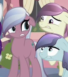 Size: 498x565 | Tagged: safe, screencap, elbow grease, fleur de verre, paradise (g4), sapphire joy, crystal pony, earth pony, g4, season 3, the crystal empire, female, implied pinkie pie, looking at each other, looking at someone, mare, offscreen character, shrunken pupils, standing, trio, unnerved