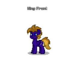 Size: 500x500 | Tagged: safe, oc, oc only, pegasus, pony, pony town, blue eyes, brown mane, brown tail, male, pegasus oc, purple coat, simple background, solo, tail, text, transparent background
