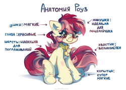 Size: 4591x3261 | Tagged: safe, artist:vanilla-chan, roseluck, earth pony, pony, g4, collar, commission, commissioner:doom9454, cute, cyrillic, fluffy, meme, pet tag, ponified animal photo, pony pet, rosepet, russian, simple background, sitting, translated in the description, white background