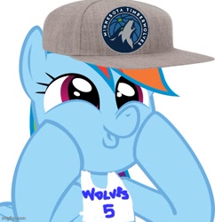 Size: 500x517 | Tagged: artist needed, safe, rainbow dash, g4, 1000 hours in ms paint, basketball, dashface, minnesota timberwolves, nba, simple background, solo, white background