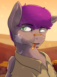 Size: 1560x2100 | Tagged: safe, artist:tofuslied-, oc, oc only, oc:home brew, pegasus, pony, equestria at war mod, bandaid, bandaid on nose, bust, cigar, clothes, portrait, solo