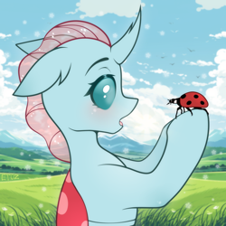 Size: 2500x2500 | Tagged: safe, artist:etoz, derpibooru exclusive, ocellus, changedling, changeling, insect, ladybug, g4, :o, blushing, cloud, cute, eyebrows, female, grass, half body, holding, horn, looking at each other, looking at someone, ooh, open mouth, raised eyebrow, raised eyebrows, sky