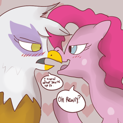 Size: 600x600 | Tagged: safe, artist:klondike, gilda, pinkie pie, earth pony, griffon, g4, griffon the brush off, blushing, female, lesbian, looking at each other, looking at someone, mare, ship:gildapie, shipping, speech bubble, talking