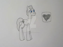 Size: 1032x774 | Tagged: safe, artist:violetrose13-art, oc, oc only, oc:cloud nine, earth pony, pony, g4, deviantart watermark, elderly, long legs, male, obtrusive watermark, solo, stallion, traditional art, watermark