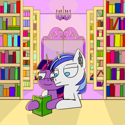 Size: 1500x1500 | Tagged: safe, artist:icycrymelon, shining armor, twilight sparkle, pony, unicorn, g4, book, bookshelf, brother and sister, duo, duo male and female, female, horn, library, male, sibling love, siblings, smiling