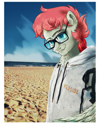 Size: 2286x2848 | Tagged: safe, artist:nazalik, sunny starscout, oc, oc only, oc:arbuzik, pegasus, anthro, g5, beach, beauty, bicycle, chest fluff, clothes, complex background, delight, ear fluff, glasses, looking at you, male, ocean, photo, sand, smiling, smiling at you, solo, stallion, water, wings