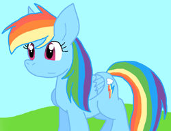 Size: 882x678 | Tagged: safe, artist:cmara, rainbow dash, pegasus, g4, female, solo