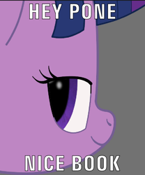 Size: 600x720 | Tagged: safe, artist:k. dale, twilight sparkle, pony, unicorn, g4, gray background, head only, looking at you, meme, simple background, solo, text, unicorn twilight