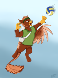 Size: 2666x3548 | Tagged: safe, artist:rutkotka, oc, oc:pavlos, griffon, bandage, beak, blue background, broken bone, broken wing, cast, cheek fluff, claws, clothes, colored wings, commission, eared griffon, griffon oc, happy, headband, injured, jumping, non-pony oc, nonbinary, shirt, simple background, sling, smiling, sports, tail, volleyball, wings