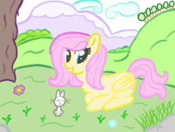 Size: 1200x900 | Tagged: safe, angel bunny, fluttershy, pegasus, pony, g4, nature, summer