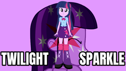 Size: 2560x1440 | Tagged: safe, artist:qbert2kcat, twilight sparkle, human, equestria girls, g4, clothes, female, purple background, shirt, shoes, simple background, skirt, solo, wallpaper