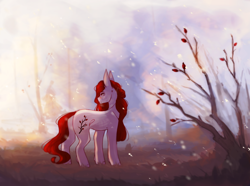 Size: 1380x1024 | Tagged: safe, artist:riressa, oc, oc only, earth pony, pony, female, mare, scenery, solo, tree, winter