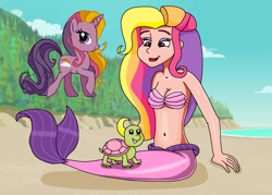 Size: 1064x760 | Tagged: safe, artist:ocean lover, edit, edited screencap, screencap, rainbow flash (g4), human, mermaid, turtle, unicorn, g4, animal love, background edit, bare shoulders, beach, beautiful, beautiful hair, belly button, bra, clothes, cloud, curvy, cute, dot eyes, female, fins, fish tail, horn, hourglass figure, human coloration, humanized, light skin, lips, long hair, looking at each other, looking at someone, mermaid tail, mermaidized, mermay, midriff, ms paint, multicolored hair, ocean, outdoors, pretty, purple eyes, rainbow hair, sand, seashell, seashell bra, sitting, sky, sleeveless, smiling, smiling at each other, species swap, tail, tail fin, tree, underwear, water
