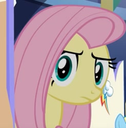 Size: 365x371 | Tagged: safe, edit, screencap, fluttershy, rainbow dash, pegasus, pony, g4, season 5, what about discord?, concerned, looking at you, rainbow dash's cutie mark, solo, staring at you, staring into your soul, twilight's castle