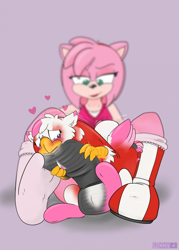 Size: 1622x2271 | Tagged: safe, artist:foxxy-arts, oc, oc:foxxy hooves, hedgehog, hippogriff, amy rose, blushing, boots, clothes, clothing transformation, duo, duo female, female, forced perspective, headband, heart, hippogriff oc, inanimate tf, lidded eyes, mid-transformation, open mouth, pink background, shoes, simple background, socks, sonic the hedgehog (series), transformation