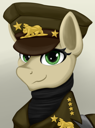 Size: 2756x3707 | Tagged: safe, artist:cofido, oc, oc only, oc:golden star, pony, equestria at war mod, bust, cap, clothes, hat, military uniform, new california republic, portrait, solo, uniform