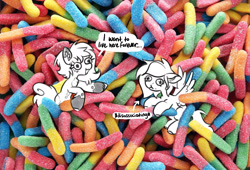 Size: 2342x1590 | Tagged: safe, artist:opalacorn, oc, oc only, earth pony, pegasus, pony, candy, chest fluff, coat markings, commission, dialogue, duo, eating, female, food, gummy worm, irl, mare, photo, ponies in food, ponies in real life, speech bubble, tiny, tiny ponies, unshorn fetlocks