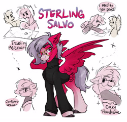 Size: 2806x2700 | Tagged: safe, artist:opalacorn, oc, oc only, oc:sterling salvo, pegasus, pony, clothes, glasses, gradient legs, grin, looking at you, male, map, name, simple background, smiling, smiling at you, solo focus, spread wings, stallion, text, turtleneck, white background, wings