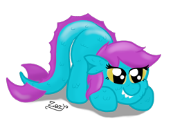 Size: 1350x1013 | Tagged: safe, artist:zeccy, oc, oc only, original species, shark, shark pony, simple background, solo, transparent background