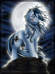 Size: 958x1280 | Tagged: safe, artist:anniemsson, oc, oc only, oc:nocturne, earth pony, pony, g1, 2010, backlighting, female, full moon, mare, moon, night, solo