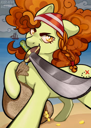 Size: 2894x4093 | Tagged: safe, artist:valeriakudlaeva, oc, oc only, earth pony, pony, bandana, coin, commission, cutlass, female, gold, high res, looking at you, mare, mouth hold, not adagio dazzle, pirate, sack, smiling, smiling at you, solo, sword, weapon