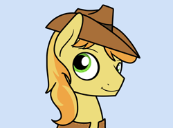 Size: 1280x953 | Tagged: safe, artist:ewoudcponies, braeburn, earth pony, pony, g4, hat, light blue background, looking at you, male, simple background, solo, stallion