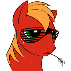 Size: 500x500 | Tagged: safe, artist:kloudmutt, big macintosh, earth pony, pony, bust, hay stalk, male, portrait, shutter shades, simple background, solo, stallion, sunglasses, white background