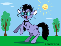 Size: 800x600 | Tagged: safe, artist:tim-kangaroo, oc, oc only, oc:tympany, earth pony, kangaroo, 2010, artifact, furry to pony, glasses, male, necktie, rearing, solo, surprised, transformation