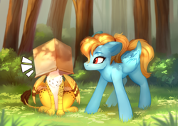 Size: 4093x2894 | Tagged: safe, artist:sofiko-ko, derpibooru exclusive, oc, oc only, oc:beaky, oc:brave blossom, griffon, pegasus, pony, fanfic:yellow feathers, behaving like a cat, box, clothes, duo, female, forest, grass, high res, male, mother and child, mother and son, nature, tree, wallpaper