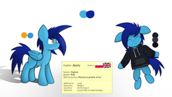 Size: 8000x4500 | Tagged: safe, artist:japkozjad, oc, oc:apply, pegasus, absurd resolution, clothes, heterochromia, hoodie, male, pegasus oc, reference sheet, simple background, stallion, text, white background