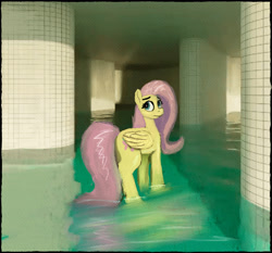 Size: 2886x2686 | Tagged: safe, artist:phutashi, fluttershy, pegasus, pony, g4, indoors, liminal space, looking back, poolrooms, solo