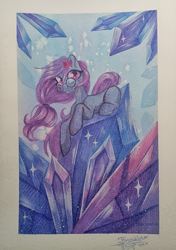 Size: 2798x3975 | Tagged: safe, artist:jsunlight, oc, earth pony, pony, solo, traditional art, watercolor painting