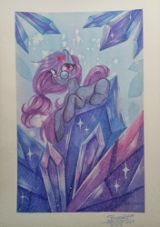 Size: 2798x3975 | Tagged: safe, artist:jsunlight, oc, oc:krista pebble, earth pony, pony, solo, traditional art, watercolor painting