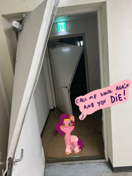 Size: 1080x1440 | Tagged: safe, artist:starburstuwu, edit, pipp petals, pegasus, pony, g5, door, female, irl, mare, photo, pipp is short, pipp is smol, ponies in real life, speech bubble, talking to viewer