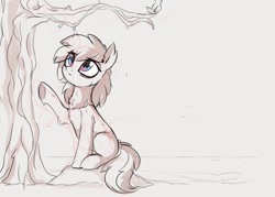 Size: 1194x857 | Tagged: safe, artist:aureai-sketches, oc, oc only, bird, earth pony, pony, chest fluff, colored sketch, ear fluff, ear piercing, earring, female, jewelry, mare, piercing, sitting, sketch, solo, tree