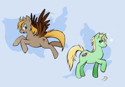 Size: 1280x891 | Tagged: safe, artist:featherhead, pegasus, pony, unicorn, duo, hetalia, horn, looking at each other, looking at someone, male, ponified, united kingdom, united states