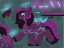 Size: 4616x3520 | Tagged: safe, oc, oc only, oc:plexa, earth pony, pony, floating hair, glowing, heart butt, multicolored eyes, multicolored mane, multicolored tail, raised tail, reference sheet, solo, tail, two toned coat