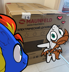 Size: 690x715 | Tagged: safe, artist:airfly-pony, oc, oc:scarlett drop, oc:wing hurricane, pegasus, box, cardboard box, chibi, cute, cyrillic, happy, heart, irl, looking at each other, looking at someone, oven, photo, russian, scarricane, smiling, smiling at each other