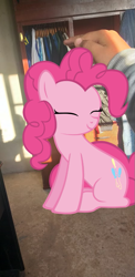 Size: 449x923 | Tagged: safe, artist:williamtheofficial, pinkie pie, earth pony, g4, female, irl, photo