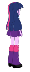 Size: 706x1655 | Tagged: safe, artist:qbert2kcat, twilight sparkle, equestria girls, g4, back of head, simple background, solo, transparent background
