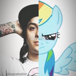 Size: 1440x1440 | Tagged: safe, edit, rainbow dash, g4, duo, needs more jpeg, shitposting