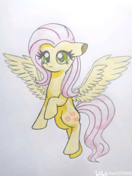 Size: 1368x1824 | Tagged: safe, artist:nfc100%ponies, fluttershy, g4, simple background, solo, traditional art, white background