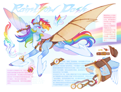 Size: 4250x3250 | Tagged: safe, artist:qpnnn, rainbow dash, g4, alternate design, amputee, artificial wings, augmented, chinese, coat markings, long legs, pale belly, prosthetic limb, prosthetic wing, prosthetics, reference sheet, slender, socks (coat markings), solo, thin, translation request, turned head, wings
