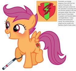 Size: 640x600 | Tagged: safe, artist:fizzled_kitty, edit, scootaloo, pegasus, pony, g4, alternate cutie mark, alternate eye color, blind, blushing, cane, cutie mark, female, filly, foal, google translate, implied apple bloom, implied rainbow dash, implied sweetie belle, recolor, red eyes, reference sheet, simple background, solo, white background