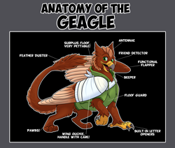 Size: 3812x3228 | Tagged: safe, artist:likeshine, oc, oc:pavlos, griffon, anatomy, bandage, beak, broken bone, broken wing, cast, cheek fluff, claws, clothes, colored wings, commission, diagram, eared griffon, griffon oc, hoodie, injured, labels, male, non-pony oc, sling, tail, wings