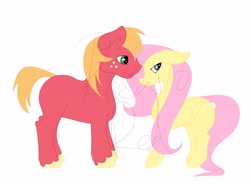 Size: 4096x3010 | Tagged: safe, artist:rosario-red, artist:rosario_red_art, part of a set, big macintosh, fluttershy, earth pony, pegasus, pony, absurd resolution, colored, duo, duo male and female, female, flat colors, floppy ears, folded wings, height difference, long mane, long tail, looking away, male, mare, missing accessory, missing cutie mark, obtrusive watermark, ship:fluttermac, shipping, shy, simple background, smiling, stallion, straight, tail, unshorn fetlocks, watermark, white background, wings, wip
