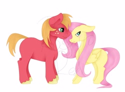 Size: 4096x3010 | Tagged: safe, artist:rosario-red, artist:rosario_red_art, part of a set, big macintosh, fluttershy, earth pony, pegasus, pony, absurd resolution, blushing, duo, duo male and female, female, floppy ears, folded wings, height difference, long mane, long tail, looking away, male, mare, missing accessory, missing cutie mark, obtrusive watermark, shading, ship:fluttermac, shipping, shy, simple background, smiling, stallion, straight, tail, unshorn fetlocks, watermark, white background, wings, wip
